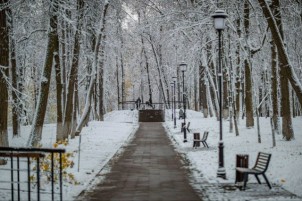 Программа парка 29 и 30 ноября