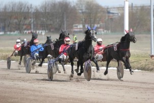 Рысистые бега