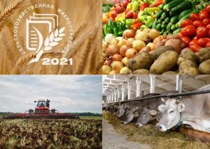 Что дает начавшаяся в РФ первая сельскохозяйственная микроперепись?