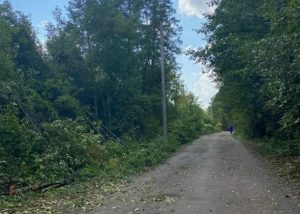 Раменский филиал АО «Мособлэнерго» расчистил охранные зоны ЛЭП в деревнях Вялки и Минино