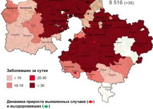 78 случаев заболевания COVID-19 выявлено в Раменском округе за минувшие сутки