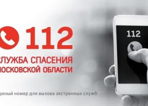 За прошедшую неделю в Раменском г.о. по системе-112 поступило 8,5 тысяч обращений