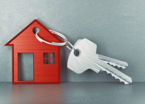 В Раменском городском округе на кадастровый учет поставлены четыре объекта