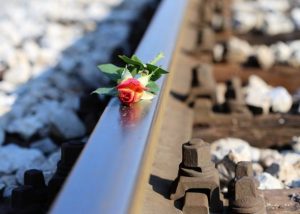 За прошедшую неделю в Раменском г.о. по системе-112 поступило 8 тысяч обращений
