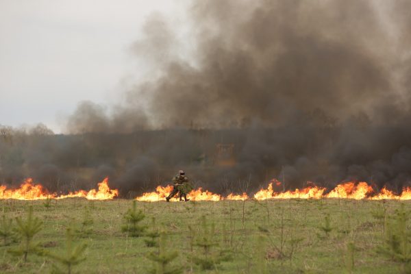 Учения по борьбе с пожарами и защите населенных пунктов прошли 27 апреля в Раменском округе