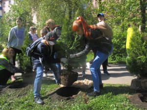 На бульваре Космонавтов в микрорайоне Холодово высадили зеленую аллею