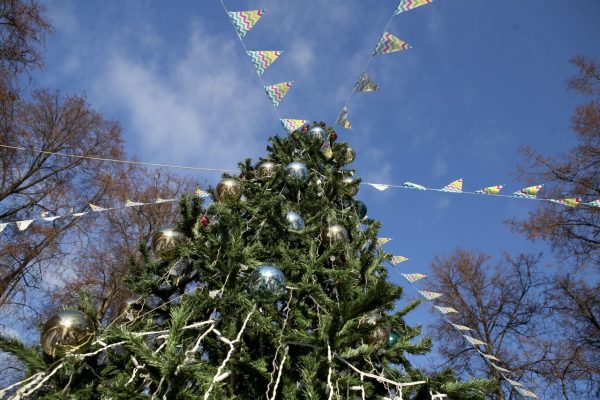 На площади Молодежи установят праздничную елку