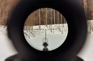 С 1 января вблизи деревни Кузяево будут проводиться стрельбы из боевого оружия
