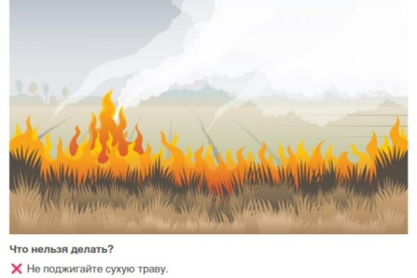 Пал сухой травы: природный пожар проще предотвратить, чем потушить