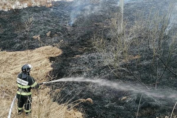 За двое суток работники «Мособлпожспас» 39 раз выезжали на тушение загоревшейся сухой растительности