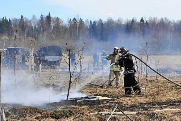 Пожарные Мособлпожспас рекомендуют не выжигать сухую растительность на своих участках