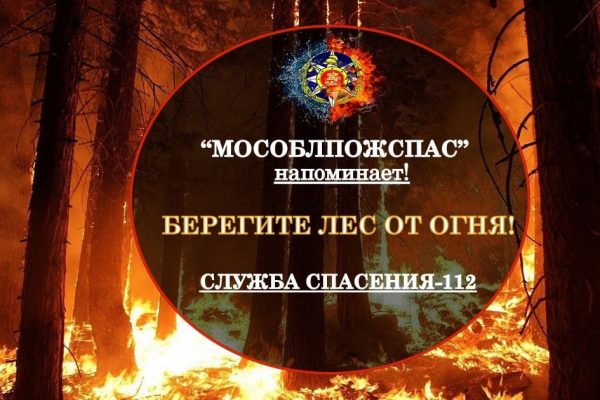 «Мособлпожспас» предупреждает!  Лесной пожар — это одна из самых опасных и страшных стихий