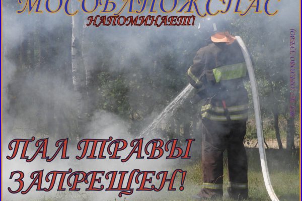 Работники ГКУ МО «Мособлпожспас» напомнили о запрете разведения открытого огня