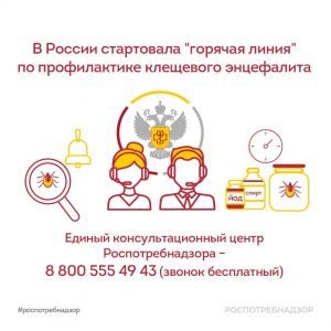 В России стартовала «горячая линия» по профилактике клещевого энцефалита