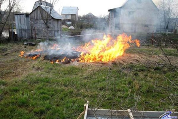 Пожарные Мособлпожспас рекомендуют не выжигать сухую растительность на своих участках