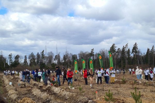 Подведены итоги ежегодной эколого-патриотической акции «Лес Победы»