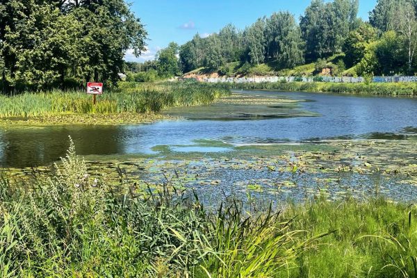 Спасатели Мособлпожспас не рекомендуют водные процедуры