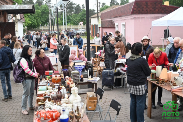 Блошиный рынок развернется в субботу в п.Ильинский