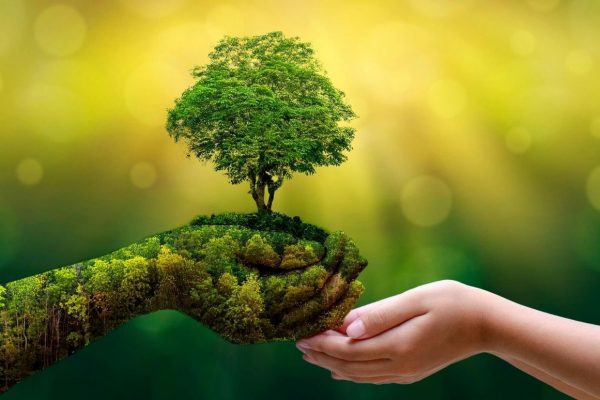 Эколого-патриотическая акция «Сдай макулатуру — вырасти дерево»