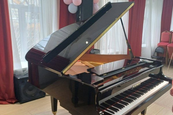 Новым роялем, пианино, баянами и аккордеонами пополняется ДШИ №2 г.Раменское