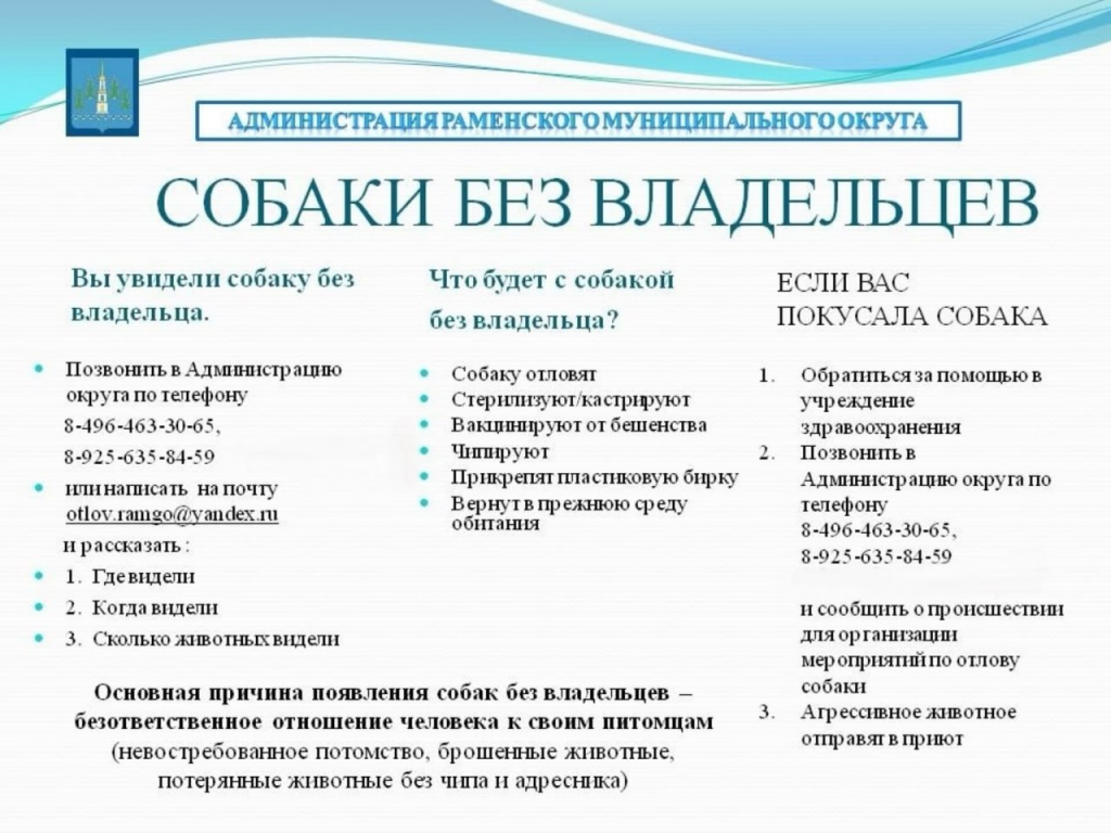 В Раменском утверждён порядок действий при обнаружении безнадзорных собак