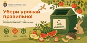 Стартует ежегодная акция по сбору отходов избыточного урожая яблок и бахчевых культур для дальнейшей переработки